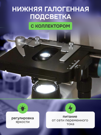 Levenhuk 500B Binocular Microscope