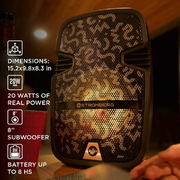 Repro Stromberg DIGITY-2 Bluetooth 20W