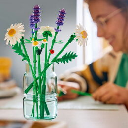 LEGO® Botanicals 11508 Kopretiny