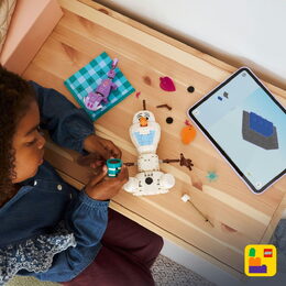 LEGO® 43287 Disney Ledové králoství Olaf a Bruni na zábavném pikniku