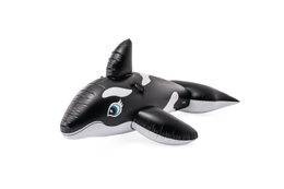 Vodní vozidlo kosatka