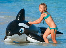 Vodní vozidlo kosatka