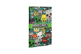 Minecraft blok A6
