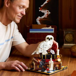 LEGO® 76466 Harry Potter™Kámen mudrců – sběratelská edice