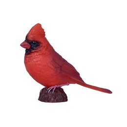 Mojo Kardinál červený v krabičce