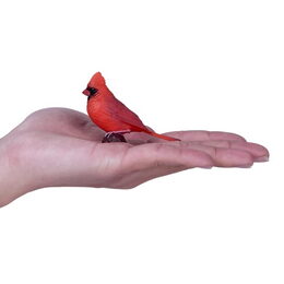 Mojo Kardinál červený v krabičce