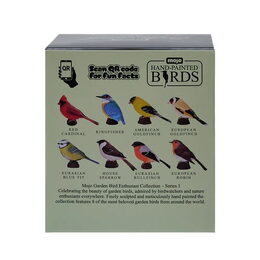 Mojo Stehlík americký v krabičce