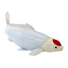 Mojo Kapr koi tancho