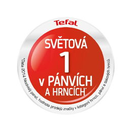 Tefal poklice na Ingenio L9849053