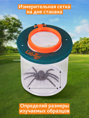 Levenhuk nádobka na hmyz LabZZ C1