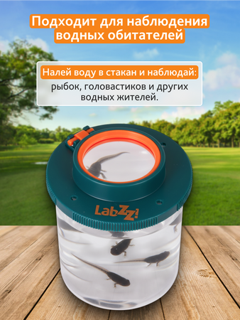 Levenhuk nádobka na hmyz LabZZ C1