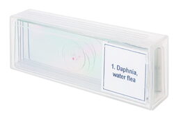 Discovery Prof Specimens DPS 5. Life in a Drop of