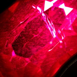 Kondenzátor tmavého pole pro stereomikroskopy MAGUS DFC1