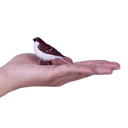 Mojo Vrabec domácí v krabičce