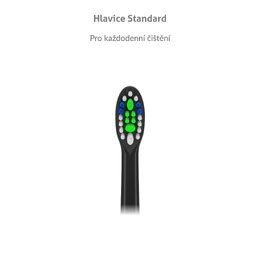 TrueLife SonicBrush Compact Heads Black Standard