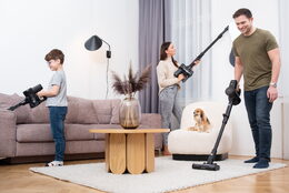 Lauben Stick Vacuum 2in1 Pet Plus 400BC