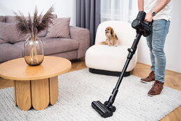 Lauben Stick Vacuum 2in1 Pet Plus 400BC