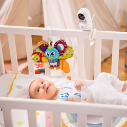 TrueLife NannyCam holder