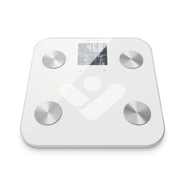 TrueLife FitShape S6 BT White