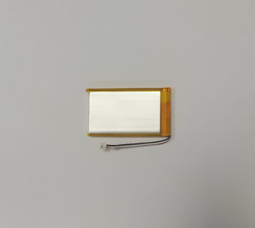 TrueLife NannyCam R4 Battery