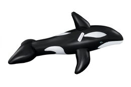 Vozidlo nafukovací kosatka