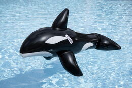 Vozidlo nafukovací kosatka