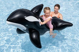 Vozidlo nafukovací kosatka