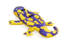 Vozidlo nafukovací mlok