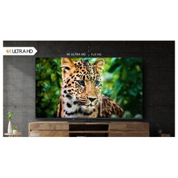 Televize JVC LT-75VGQ7535