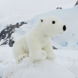 Rappa Plyšový medvěd lední stojící 30 cm ECO-FRIENDLY