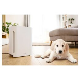 SHA 6400WH čistička vzduchu SENCOR