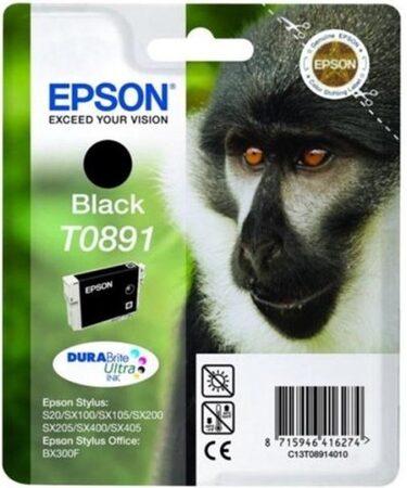 Inkoustová náplň Epson T0891, 5,8 ml - černá