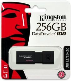 Kingston DataTraveler 100 G3 256GB DT100G3/256GB