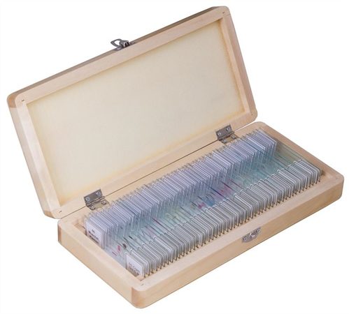 Bresser Prepared Slides 50pcs, w/case