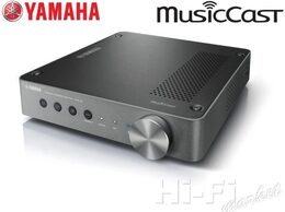 YAMAHA WXA-50 DARK SILVER