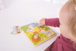 Bigjigs Toys Vkládací puzzle domácí zvířátka