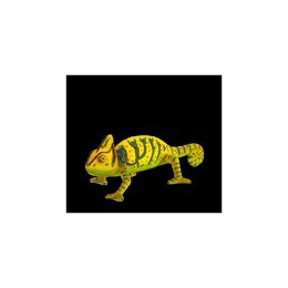 Mojo Chameleon