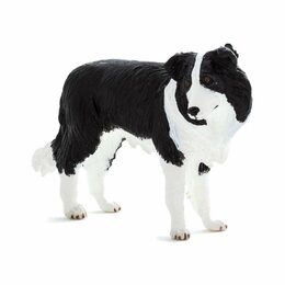 Mojo Border kolie