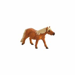 Mojo Shetlandský pony