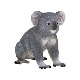 Mojo Koala