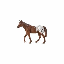 Mojo Appaloosa hřebec blanket