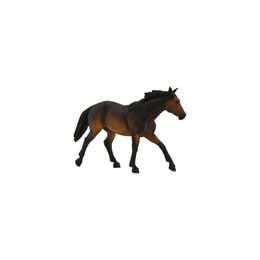 Mojo Quarter horse hnědák