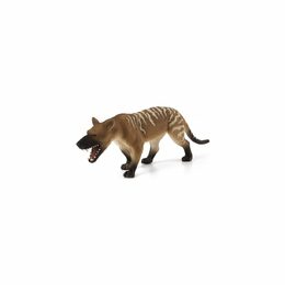 Mojo Hyaenodon gigas