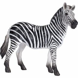 Mojo Zebra