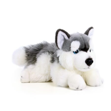 Rappa Plyšový pes husky ležící 30 cm