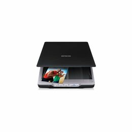 Skener Epson Perfection V19 USB 2.0, A4