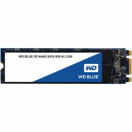 Western Digital 1TB, WDS100T2B0B
