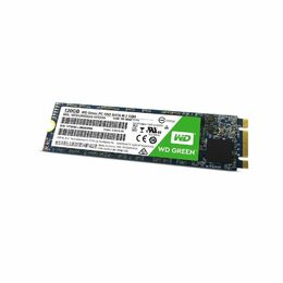 Western Digital 120GB, SATAIII, WDS120G2G0B
