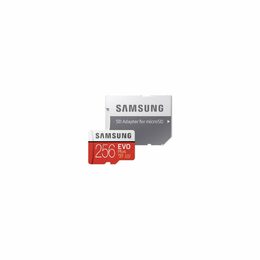 SanDisk microSDXC 256GB UHS-I U1 173399