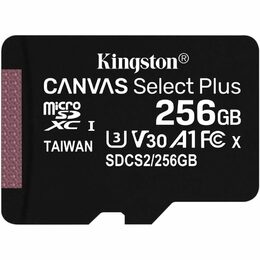 Kingston microSDXC 256GB SDCS2/256GBSP